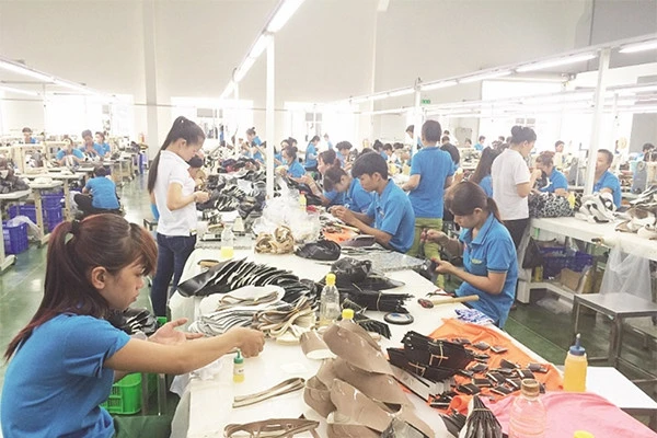 Dây chuyền sản xuất giày da